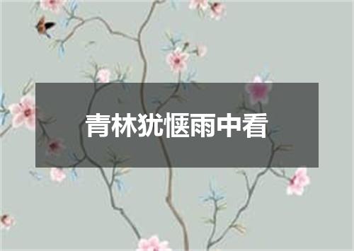 青林犹惬雨中看