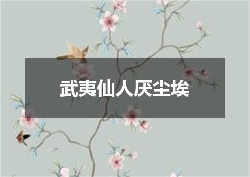 武夷仙人厌尘埃