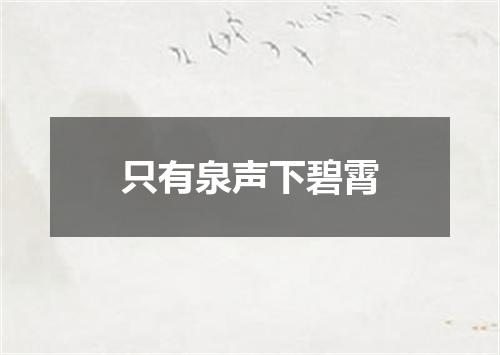 只有泉声下碧霄