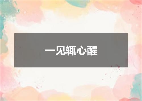 一见辄心醒