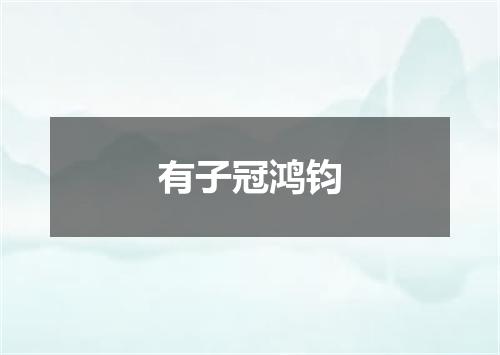 有子冠鸿钧