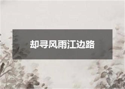 却寻风雨江边路