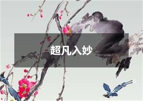 超凡入妙