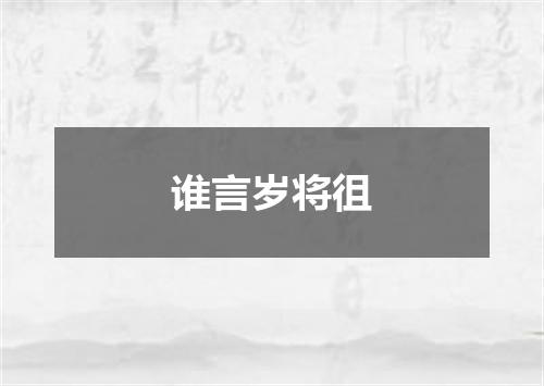 谁言岁将徂
