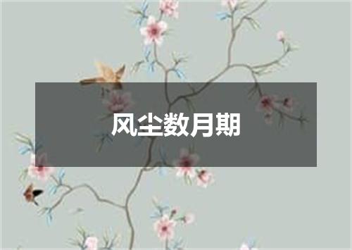 风尘数月期