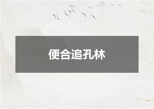 便合追孔林