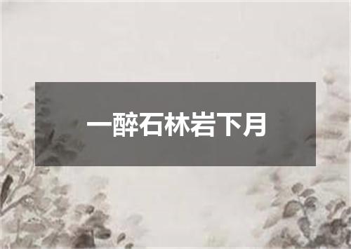 一醉石林岩下月