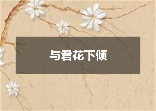 与君花下倾
