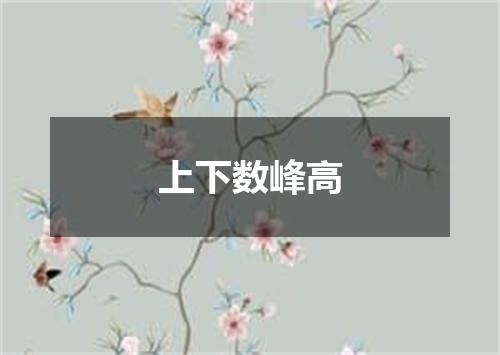 上下数峰高