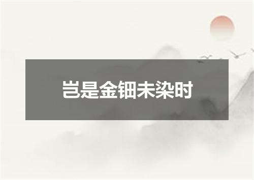 岂是金钿未染时