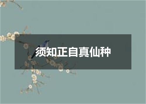 须知正自真仙种