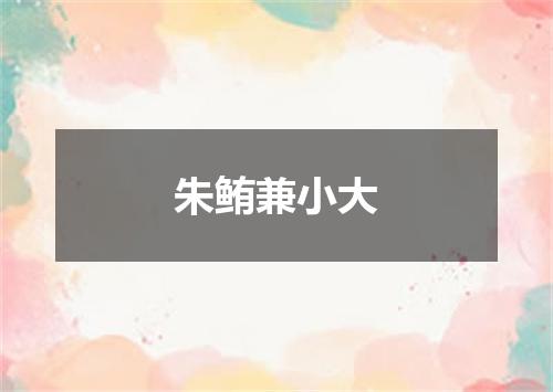 朱鲔兼小大