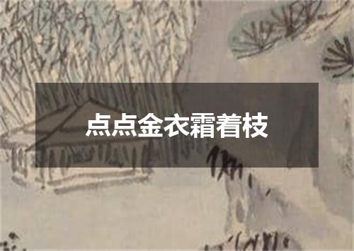 点点金衣霜着枝