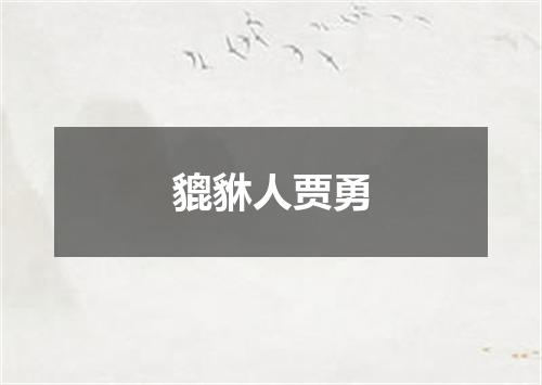 貔貅人贾勇