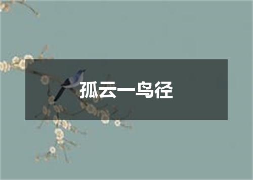 孤云一鸟径