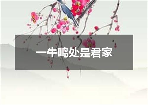 一牛鸣处是君家