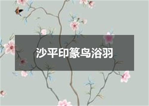 沙平印篆鸟浴羽
