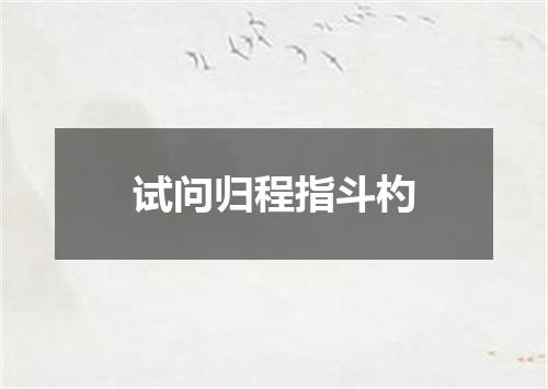 试问归程指斗杓