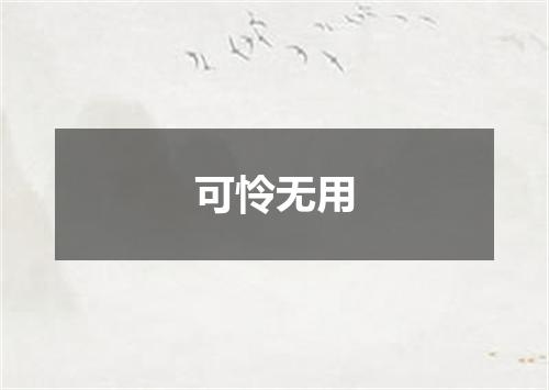 可怜无用