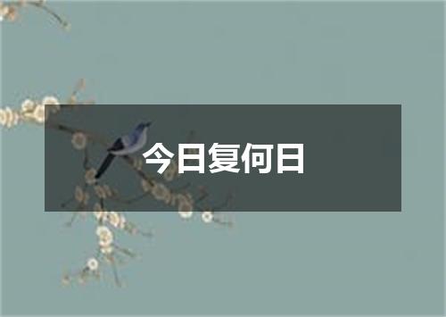 今日复何日