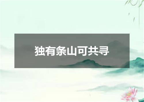 独有条山可共寻