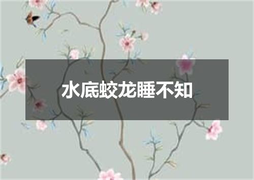水底蛟龙睡不知