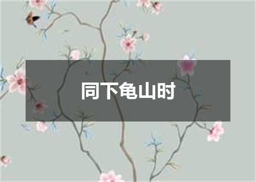 同下龟山时