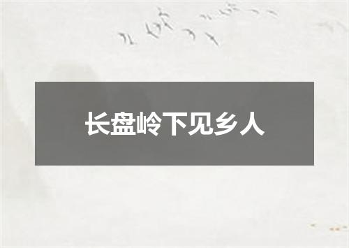 长盘岭下见乡人