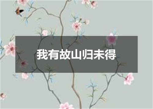 我有故山归未得