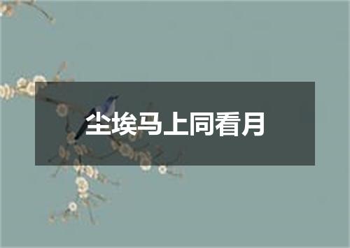 尘埃马上同看月