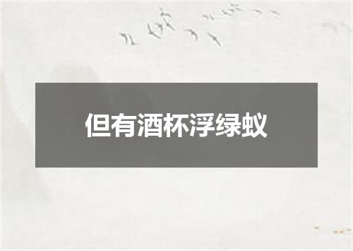 但有酒杯浮绿蚁