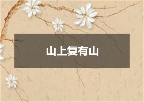 山上复有山