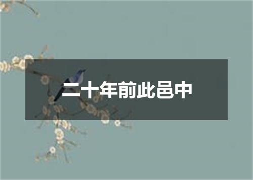 二十年前此邑中