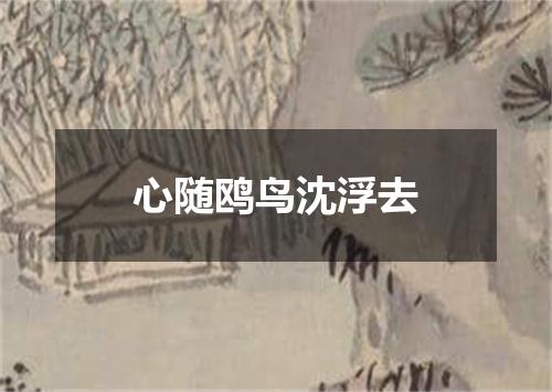 心随鸥鸟沈浮去