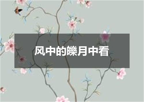 风中的皪月中看