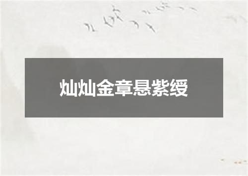灿灿金章悬紫绶