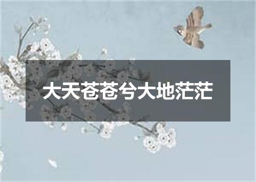 大天苍苍兮大地茫茫