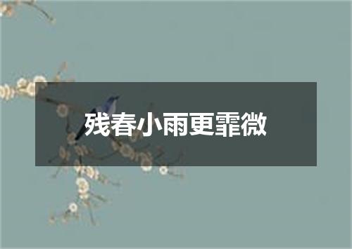 残春小雨更霏微