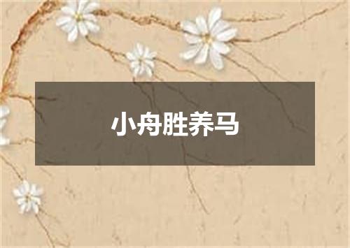 小舟胜养马