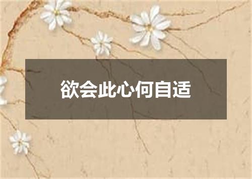 欲会此心何自适