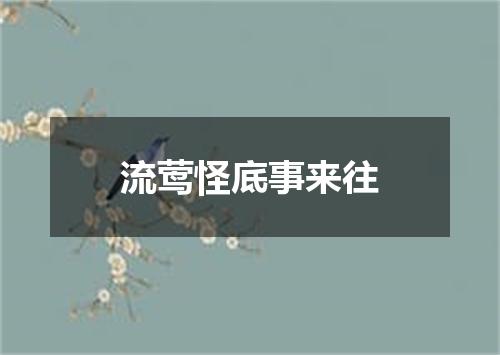 流莺怪底事来往