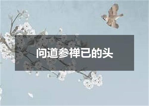 问道参禅已的头