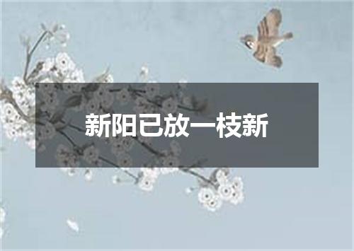 新阳已放一枝新