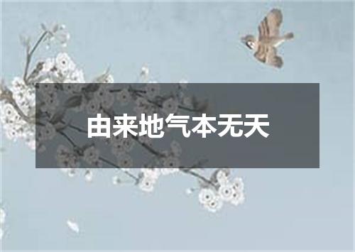 由来地气本无天