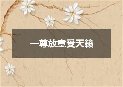 一尊放意受天籁