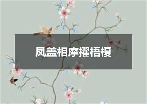 凤盖相摩擢梧榎