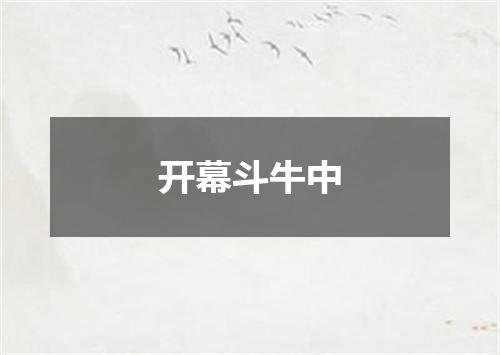 开幕斗牛中