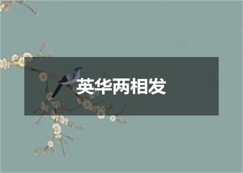 英华两相发
