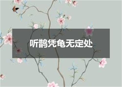 听鹊凭龟无定处