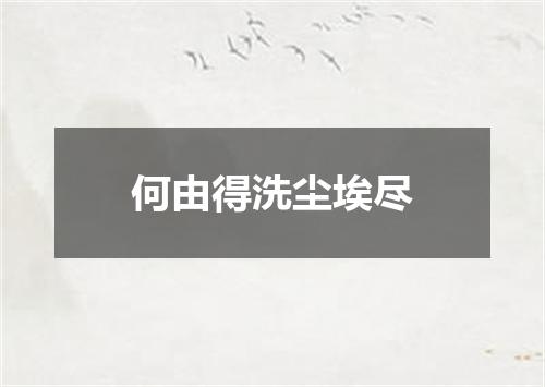 何由得洗尘埃尽